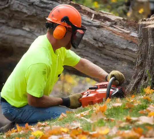 tree services Benoit